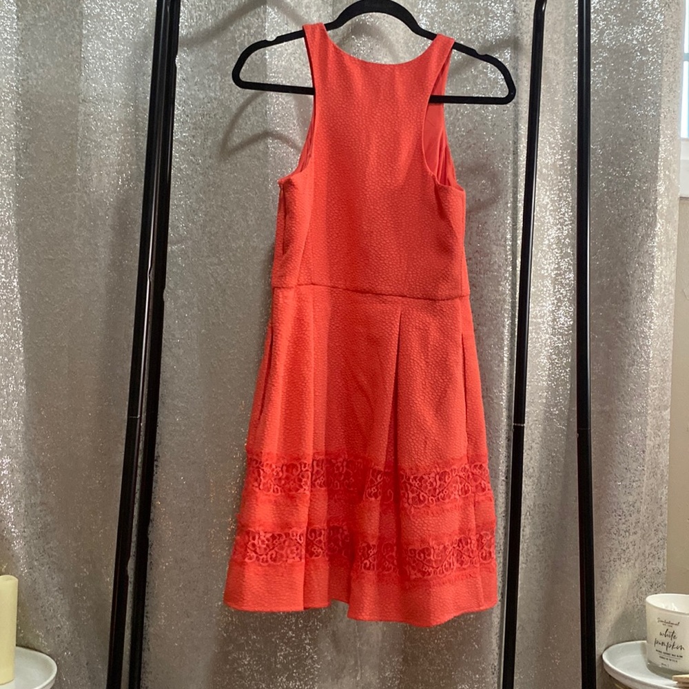 Express Dress NWT